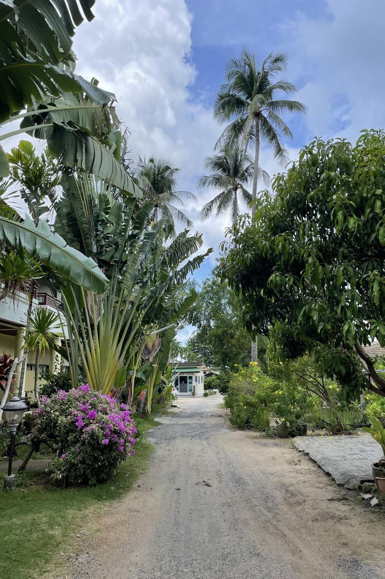 Sea Breeze Bungalow Lamai Beach  Eksteriør bilde